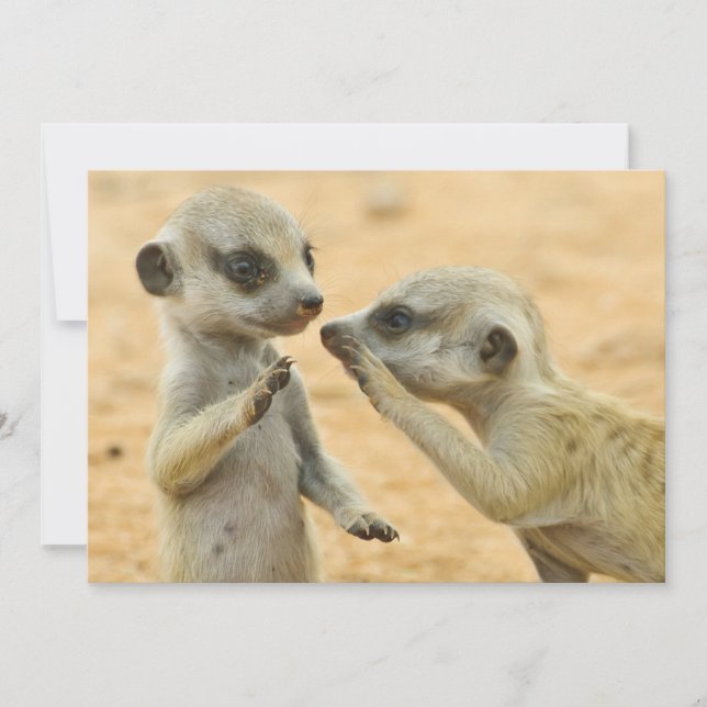 Cutest Baby Animals | Two Young Meerkats Thank You Card (Front)