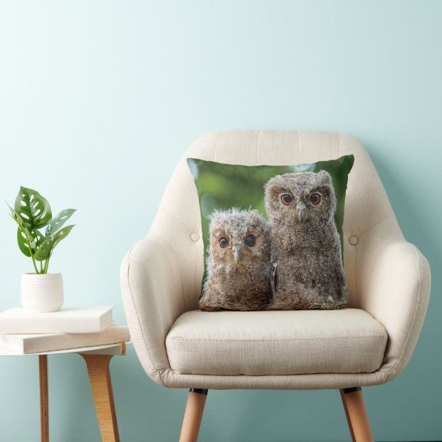 Cutest Baby Animals | Two Young Owls Cushion (Chair)