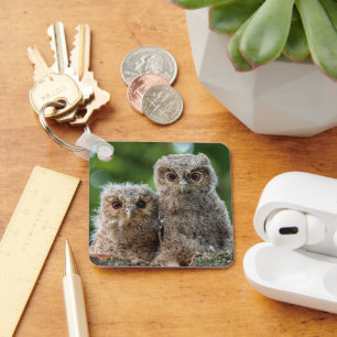 Cutest Baby Animals Two Young Owls Key Ring