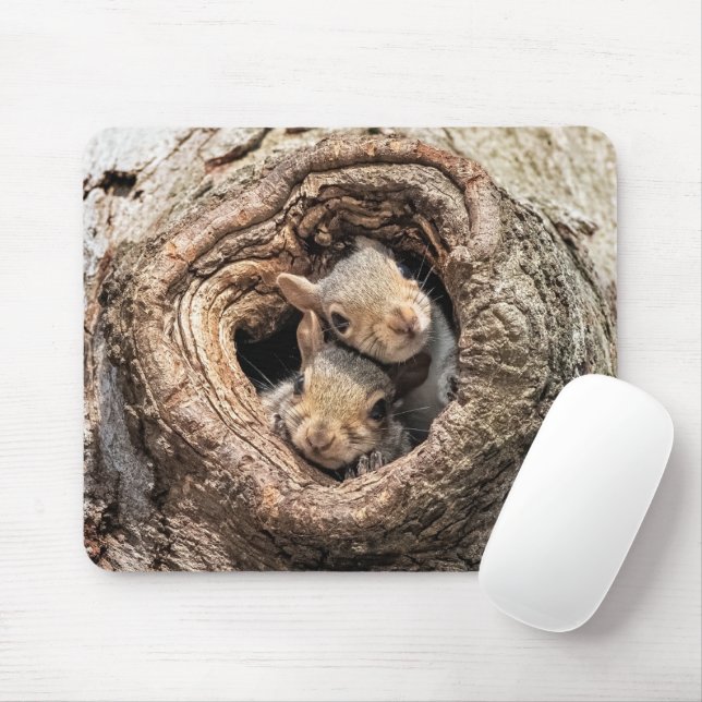 Cutest Baby Animals | Two Young Squirrels Mouse Pad (With Mouse)
