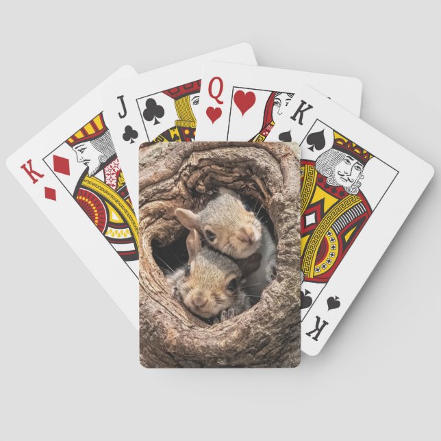 Cutest Baby Animals | Two Young Squirrels Playing Cards (Back)