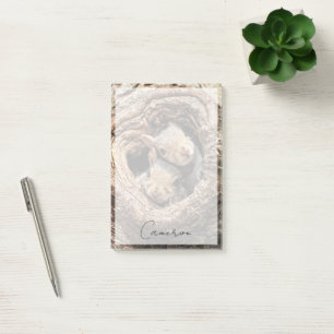 Cutest Baby Animals Two Young Squirrels Post-it Notes