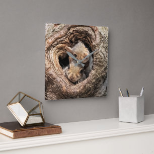 Cutest Baby Animals Two Young Squirrels Square Wall Clock