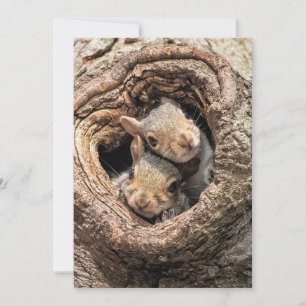 Cutest Baby Animals   Two Young Squirrels Thank You Card