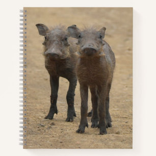 Cutest Baby Animals Two Young Warthogs Notebook