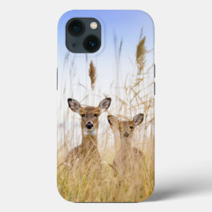 Cutest Baby Animals   Two Young White Tailed Deer iPhone 13 Case
