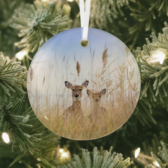 Cutest Baby Animals | Two Young White Tailed Deer Glass Tree Decoration (Insitu)