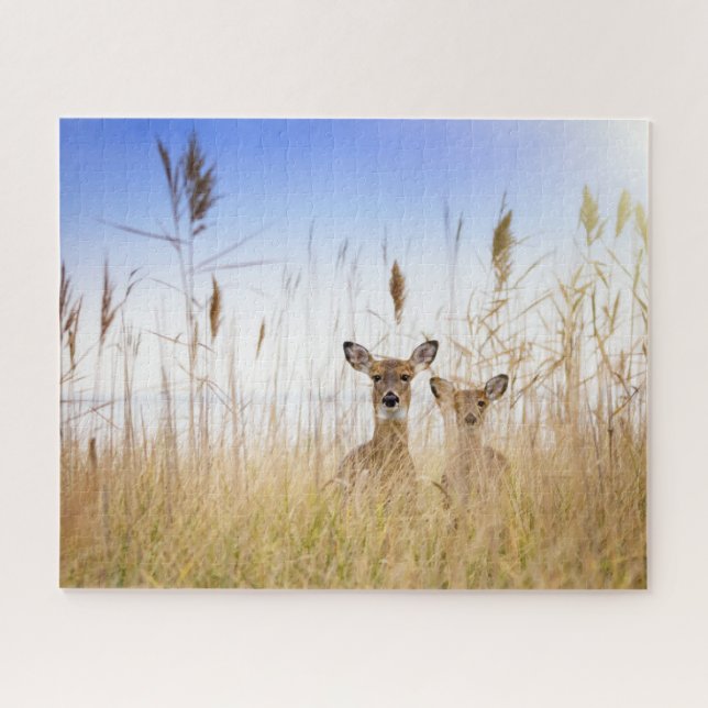 Cutest Baby Animals | Two Young White Tailed Deer Jigsaw Puzzle (Horizontal)