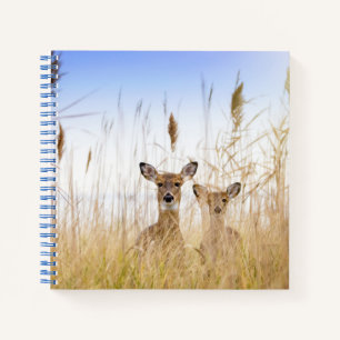 Cutest Baby Animals   Two Young White Tailed Deer Notebook