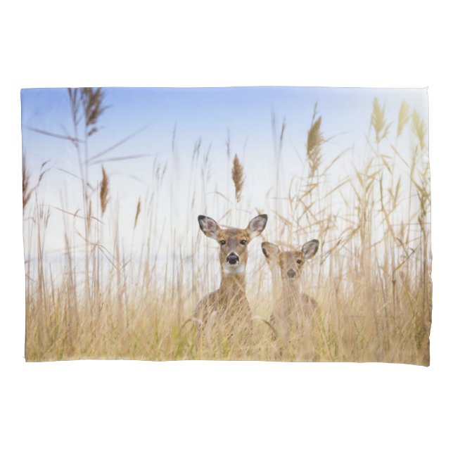 Cutest Baby Animals | Two Young White Tailed Deer Pillowcase (Front)