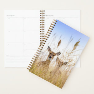 Cutest Baby Animals Two Young White Tailed Deer Planner