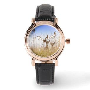 Cutest Baby Animals   Two Young White Tailed Deer Watch