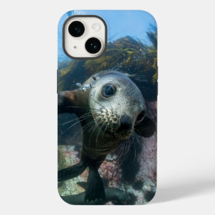 Cutest Baby Animals Underwater Cape Fur Seal Case-Mate iPhone 14 Case