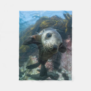 Cutest Baby Animals   Underwater Cape Fur Seal Fleece Blanket