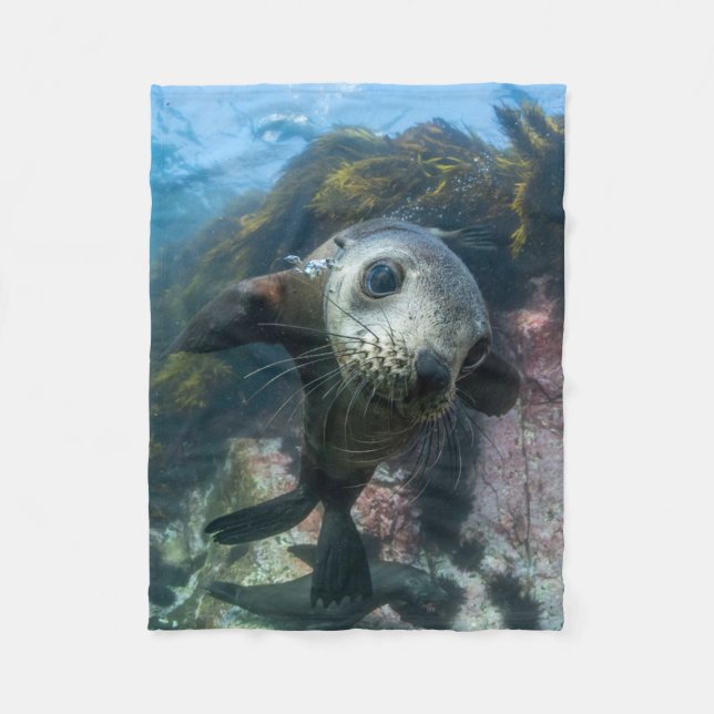 Cutest Baby Animals | Underwater Cape Fur Seal Fleece Blanket (Front)