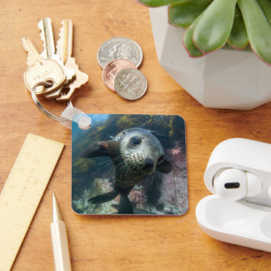 Cutest Baby Animals   Underwater Cape Fur Seal Key Ring