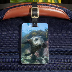 Cutest Baby Animals   Underwater Cape Fur Seal Luggage Tag