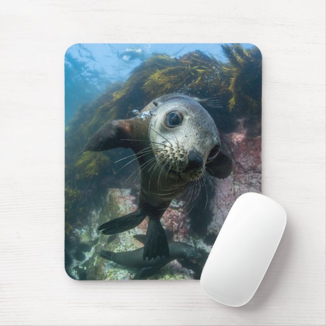 Cutest Baby Animals | Underwater Cape Fur Seal Mouse Pad (With Mouse)