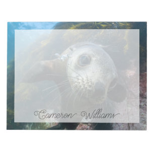Cutest Baby Animals   Underwater Cape Fur Seal Notepad