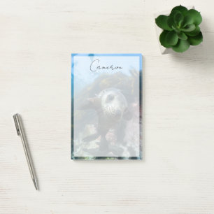 Cutest Baby Animals Underwater Cape Fur Seal Post-it Notes