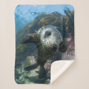 Cutest Baby Animals Underwater Cape Fur Seal Sherpa Blanket