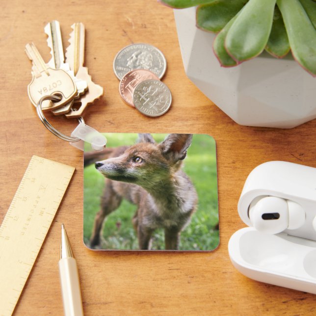 Cutest Baby Animals | Urban Fox Key Ring (Desk)