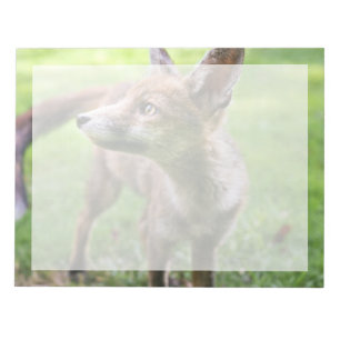 Cutest Baby Animals Urban Fox Notepad