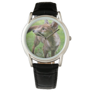 Cutest Baby Animals   Urban Fox Watch
