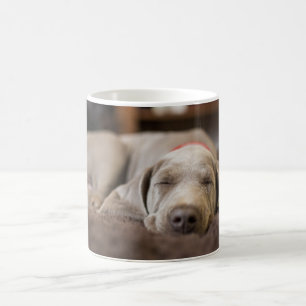 Cutest Baby Animals Weimaraner Puppy Sleeping Coffee Mug