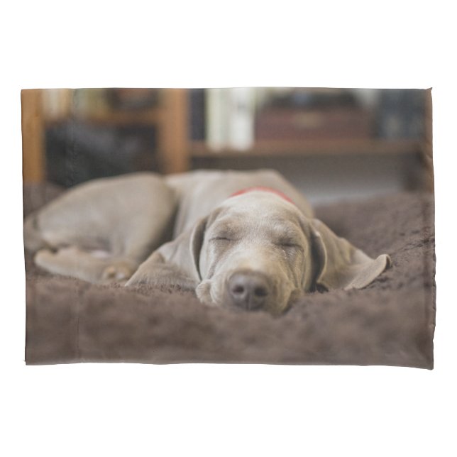 Cutest Baby Animals | Weimaraner Puppy Sleeping Pillowcase (Front)