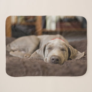 Cutest Baby Animals Weimaraner Puppy Sleeping Sherpa Blanket