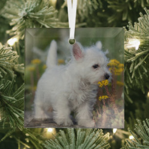 Cutest Baby Animals West Highland White Terrier Glass Tree Decoration