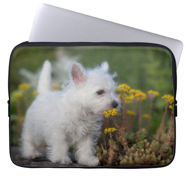Cutest Baby Animals | West Highland White Terrier Laptop Sleeve (Front)