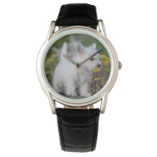 Cutest Baby Animals   West Highland White Terrier Watch
