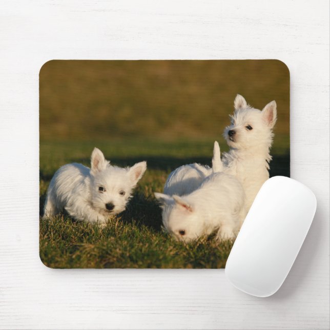 Cutest Baby Animals | West Highland White Terriers Mouse Pad (With Mouse)