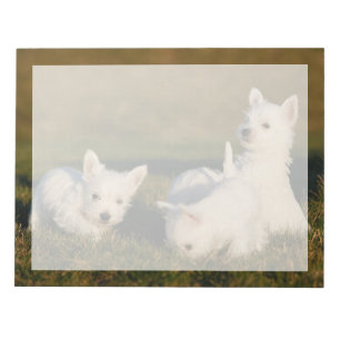 Cutest Baby Animals West Highland White Terriers Notepad