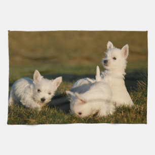 Cutest Baby Animals West Highland White Terriers Tea Towel