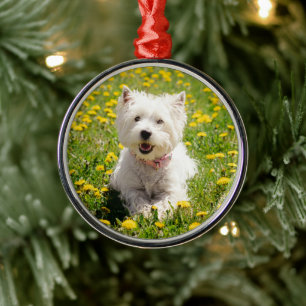 Cutest Baby Animals Westie Dog in Dandelions Metal Ornament