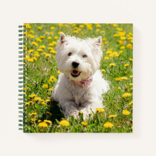 Cutest Baby Animals Westie Dog in Dandelions Notebook