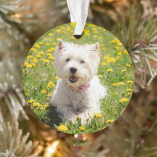Cutest Baby Animals Westie Dog in Dandelions Ornament