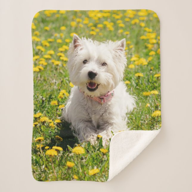 Cutest Baby Animals | Westie Dog in Dandelions Sherpa Blanket (Front)