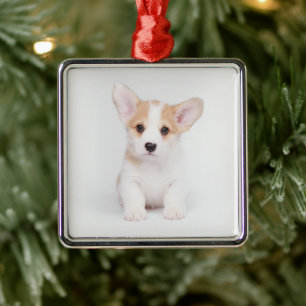 Cutest Baby Animals White Corgi Puppy Metal Ornament