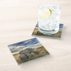 Cutest Baby Animals White Rhino & Calf Glass Coaster