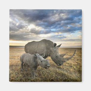 Cutest Baby Animals White Rhino & Calf Magnet