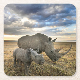 Cutest Baby Animals White Rhino & Calf Square Paper Coaster
