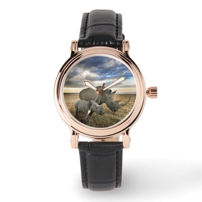 Cutest Baby Animals | White Rhino & Calf Watch (Front)
