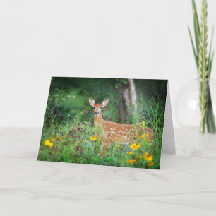 Cutest Baby Animals White Tailed Deer in Daisies Card