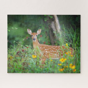 Cutest Baby Animals White Tailed Deer in Daisies Jigsaw Puzzle