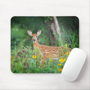 Cutest Baby Animals White Tailed Deer in Daisies Mouse Pad