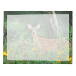 Cutest Baby Animals White Tailed Deer in Daisies Notepad